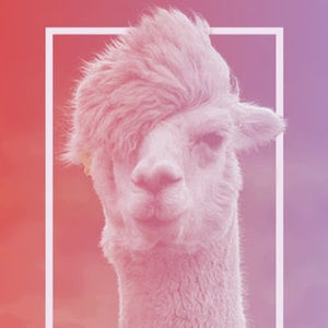 Meet your Posher, Verónica